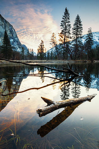 Nature, Trees, Mountains, Lake, Snag HD phone wallpaper