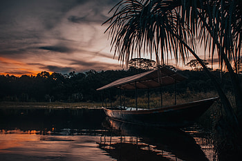 Boat, sunset, palm tree, lake HD wallpaper