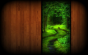 Beyond the Brown Door, forest path, green forest, forests, doors HD wallpaper