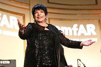 Liza Minnelli, VIP crowd, Dolce & Gabbana show, Live performance HD wallpaper