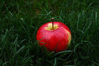 Food, Grass, Apple, Fruit HD wallpaper