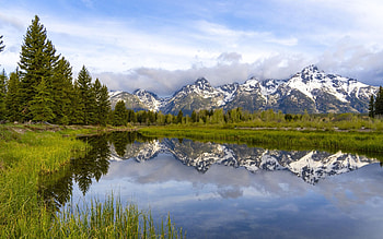 Grand Teton National Park, clouds, trees, sky, water, wyoming, usa, lake, reflections HD wallpaper
