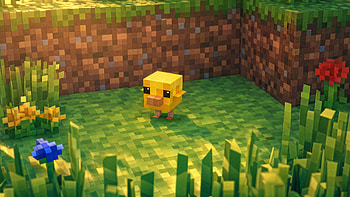Minecraft - Blocky Chick in Sunlit Meadow, Duckling HD wallpaper