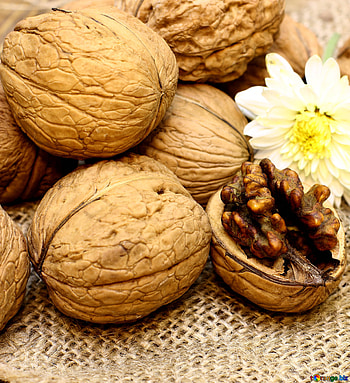 Walnuts, Edible plant, Nutty goodness, CC BY licensed HD phone wallpaper