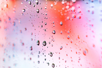 Drops, pink, transparent, surface HD wallpaper