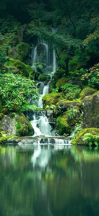 Nature, spring, green HD phone wallpaper