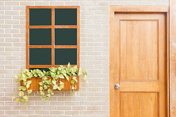 A wooden door and window on a light brick wall adorned with green leafy plants. HD wallpaper