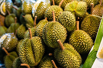 Jackfruit vs Durian, Horticulture differences, Tropical fruits, Comparative analysis HD wallpaper