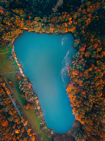 Lake, trees, aerial view, colorful, autumn HD phone wallpaper