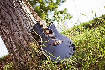 Black acoustic guitar resting against a tree in a sunny grassy field, creating a serene outdoor scene. HD wallpaper