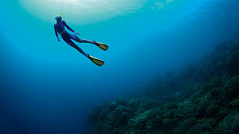 diving, Sports, Breath-taking , Underwater Beauty HD wallpaper