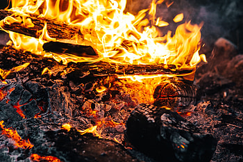Fire, Bonfire, Coals, Flame, Miscellanea, Miscellaneous, Firewood, Ash HD wallpaper