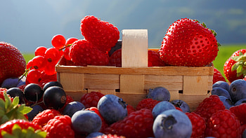 Berries , Background HD wallpaper