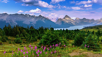 Landscape with mountain and river, river, landscape, beautiful, grass, mountain, summer, trees, nature, flowers, sky HD wallpaper