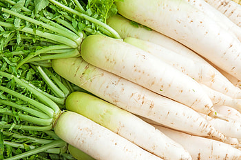 Radish , Food HD wallpaper