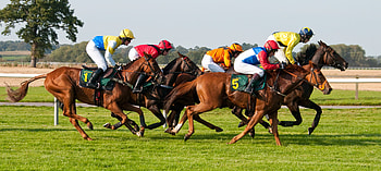 Horse racing excitement, Thrilling horse race, Equestrian adrenaline, High-speed sport HD wallpaper