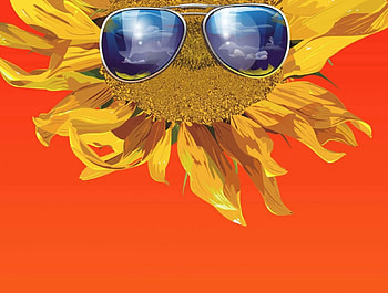 Sun Flower, sunglasses, yellow, happy, oranger bg, shades, orange, sunflower HD wallpaper