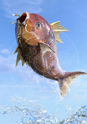 Joshua Dunlop Art, Creative Magikarp design, Concept art, Innovative visuals HD phone wallpaper