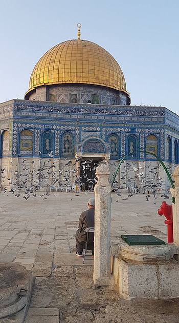 Quds, Al Aqsa, Mosque HD phone wallpaper