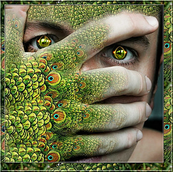 Peacock, surreal, fantasy, hand HD wallpaper