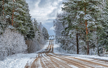 Winter Road in Latvia, Latvia, winter, road, forest HD wallpaper