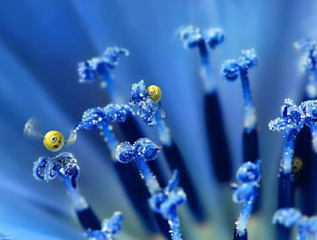 Exclusive 3D Creative, abstract, 3d HD wallpaper