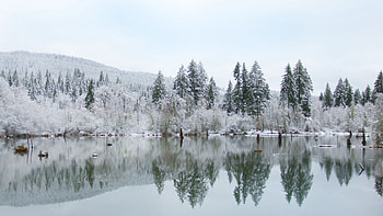 Landscape View Of Snow Covered Frozen Trees Forest Mountains Under Blue Sky Reflection On Lake Winter HD wallpaper