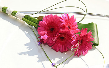 Plants, Flowers, Bouquets HD wallpaper