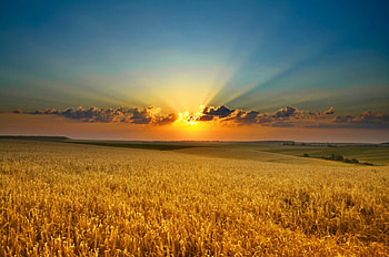 Sunset, other, landscape, nature HD wallpaper