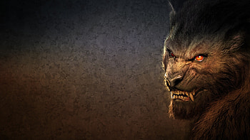 Wolf werewolf , Bewitching , Majestic creature, Lunar glow HD wallpaper