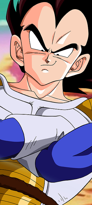Dragon Ball Z Saga, Vegeta (Dragon Ball), Anime, Dragon Ball Z HD phone wallpaper