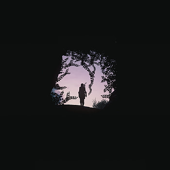 Archer, silhouette, Assassin's Creed HD phone wallpaper