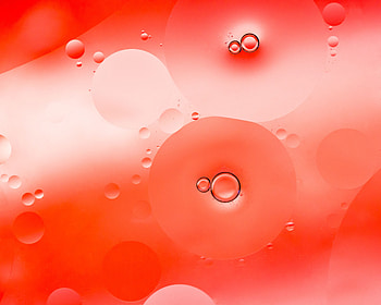 Bubbles, Macro, Circles, Liquid HD wallpaper