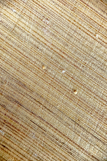 Macro, Wood, Wooden, Texture, Textures, Log HD phone wallpaper
