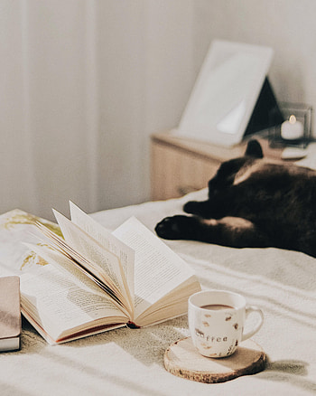 Coffee, Miscellanea, Miscellaneous, Cat, Cup, Book, Pages, Page HD phone wallpaper