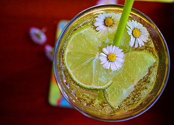 Food, Ice, Camomile, Lime, Cocktail HD wallpaper