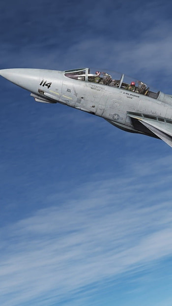 Top Gun, F 14, Airplane HD phone wallpaper