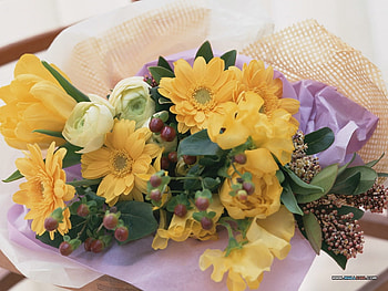 Freshness, sunny, bouquet, flowers, variety, , colour, spring HD wallpaper