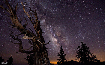 ... night sky covered with stars milky way ... HD wallpaper