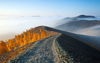 Road in Mountains, mist, trees, autumn, road, mountains HD wallpaper