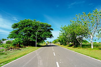 A clear sunny day on a scenic countryside road in Fuvahmulah, Maldives, lined with lush green trees. HD wallpaper