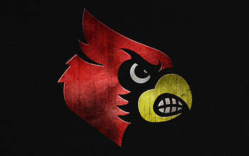 Louisville Cardinals, Striking , Team pride, Athletic excellence HD wallpaper