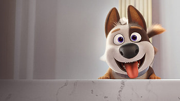 Dog Gone Trouble, dog, trouble, gone, room HD wallpaper