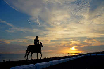 Nature, Lake, Silhouette, Girl, Horse, Horseman, Rider, Curbs HD wallpaper