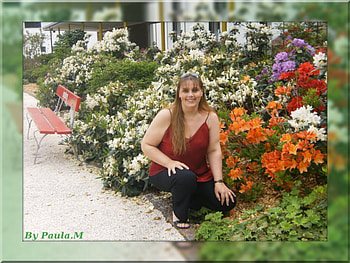 paisagem, paula, eugenia, machado, chaves HD wallpaper