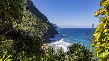 Kalalau Trail, Kauai, Hawaii, rocks, coast, island, sea, trees, usa HD wallpaper