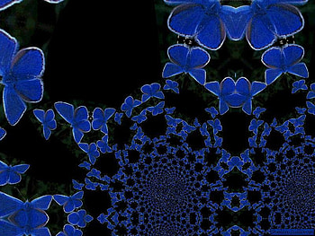 BLACK AND BLUE BUTTERFLIES, blue, butterflies, black, abstract, form HD wallpaper