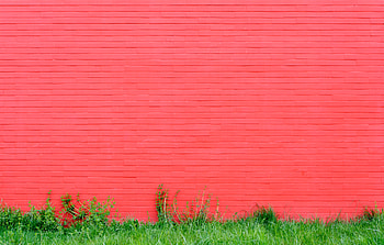 Grass, Pink, Miscellanea, Miscellaneous, Wall, Bricks HD wallpaper
