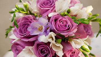 BEAUTIFUL FLOWERS FOR YOU, hot, , girl, gift, nice, pink, boy, love, cool HD wallpaper