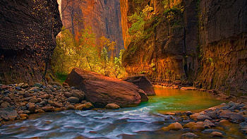 little river, nature, wood, mountains, rivers HD wallpaper